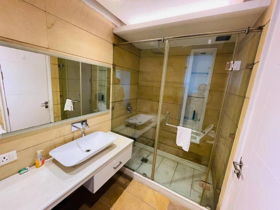 Divine India Service 4bhk D-163 Saket